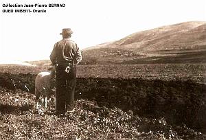 Oran- SDV- 4639-BERNAD